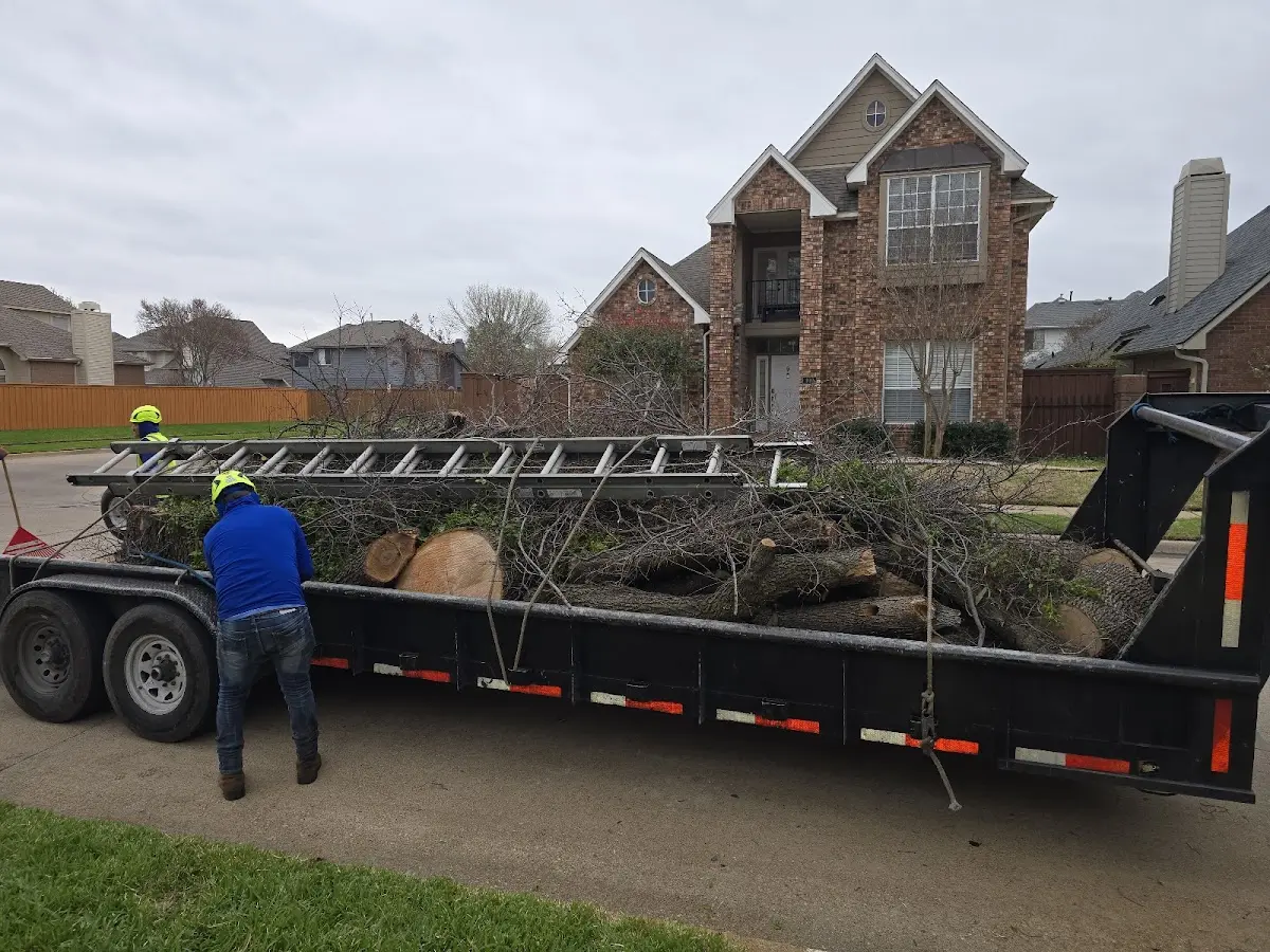 Expert Tree Removal with proper safety equipment in Greenleaf